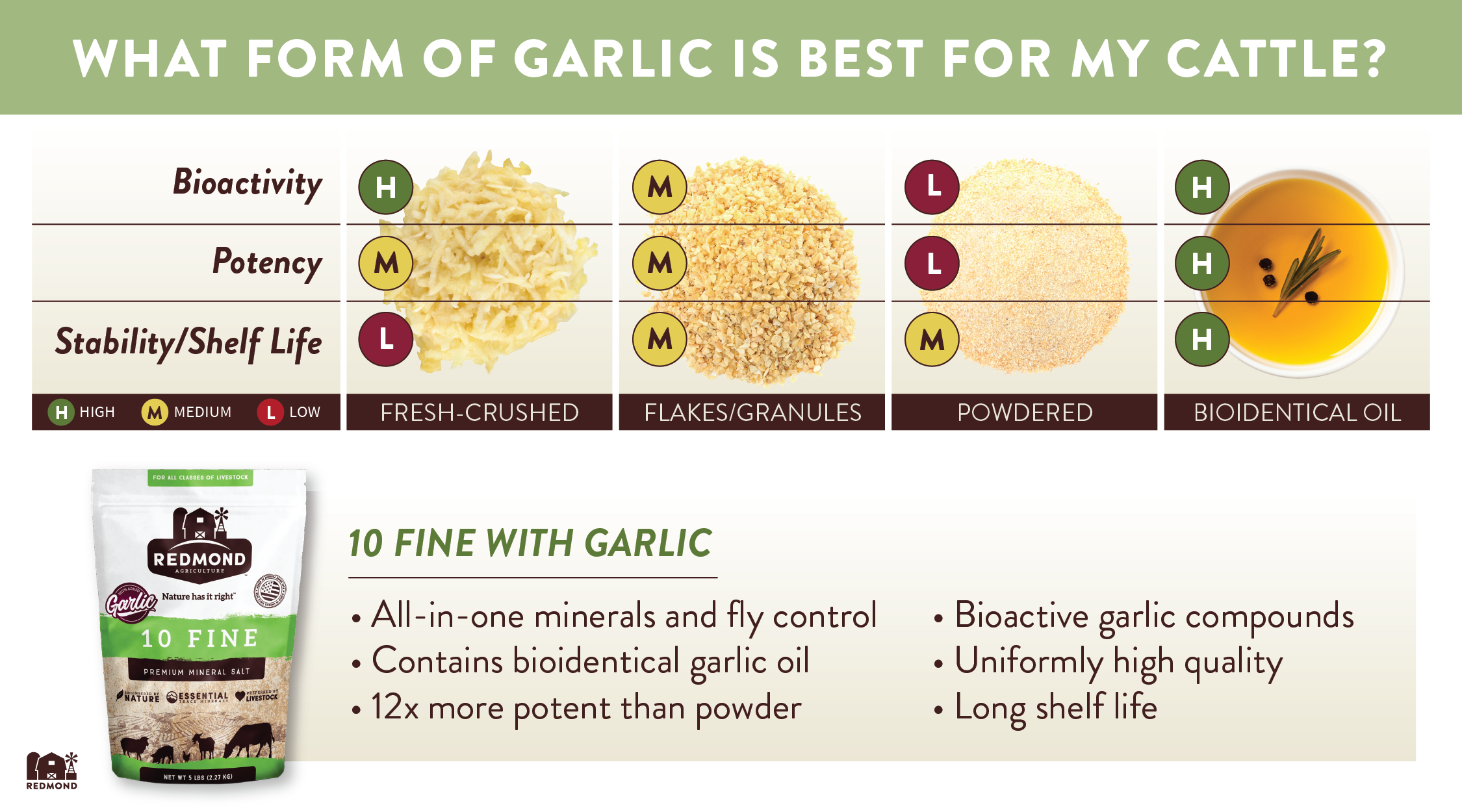 Garlic for Cattle Which Form is Best?